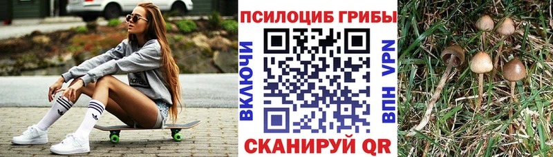 Псилоцибиновые грибы GOLDEN TEACHER мориарти официальный сайт Бикин купить наркоту гидра ссылка